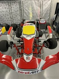 MOTOKÁRA BIREL ART ROTAX DD2