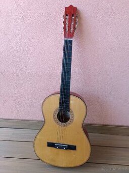 Kytara Giannini s obalem.
