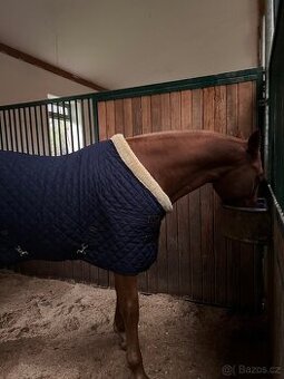 Deka Kentucky 145 cm
