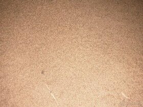 Prodám pšenici , ječmen, oves a štot