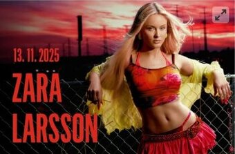 Prodam vstupenky Zara Larsson