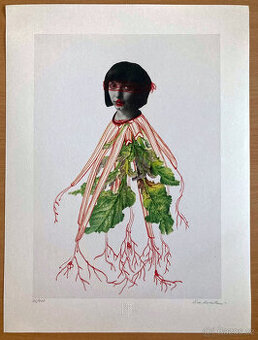 Eva Koťátková - Replanted