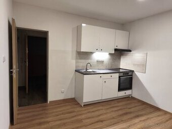 Pronájem bytu 1kk Chodov u KV/Sokolova