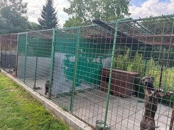 Prodám 3 kotce pro psy – pouze jako celek