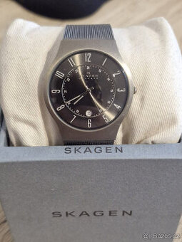 Pánské hodinky Skagen Classic 233XLTTM