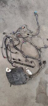 Motorový svazek Ford