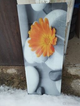 Skleněný obraz obikový.tvar 125x49cm