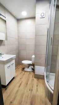 Zrekonstruovaný 1+1 byt Bohumín - pronájem
