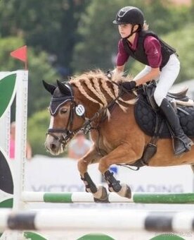 Vyhrávací pony A klisna