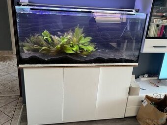 Kompletní akvárium 240l