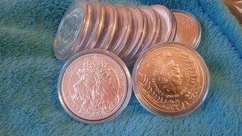Stříbrná mince 1Oz Český Lev 2021 standard