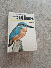Kapesní atlas ptáků - 1