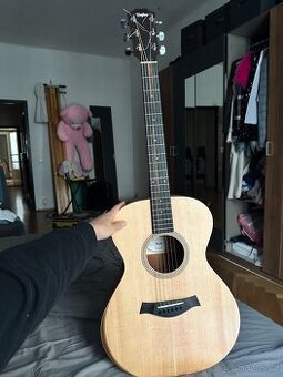 Guitar Taylor /