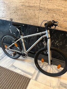 Early Rider 20