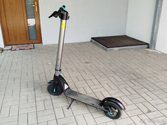 Elektrická koloběžka 350W Cecotech BONGO