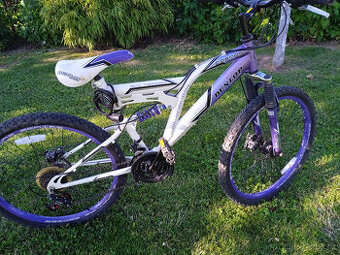 Juniorské horské kolo Dunlop