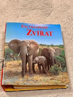 Šanon se sbíracími kartami