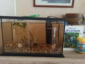 Akvárium vybavené s 1 rybyčkou
