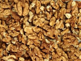 Vlašské vyloupané sušené letošní ořechy