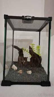 Terarium / Betarium