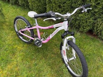 Specialzed Hotrock 20"