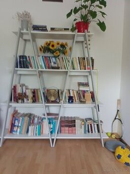 Atypická stylová knihovna,