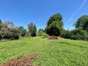 Pozemek pro výstavbu 2 088 m2 - Kurojedy u Boru