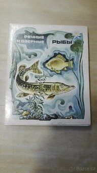 Zápalky SSSR - pro sběratele - 80. léta
