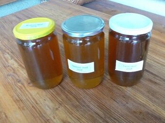 Včelí med z Jeseníků- Šumperk