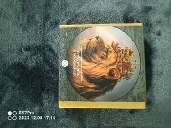 Stříbrná mince 5 oz český lev limitována edice