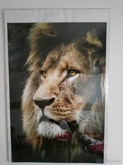 Puzzle Trefl LEV 1500 dílků