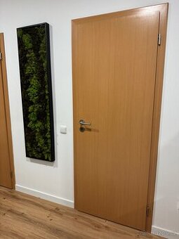 Interiérové dveře SAPELI – 70 cm a 80 cm – 500 Kč/ks