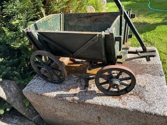 Žebřiňák bedňáček