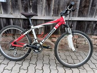 Pells Razzer 24 Replica junior 8-11let