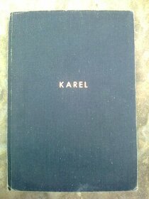 Progr. jazyk Karel - 1