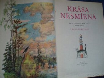 kniha Krása nesmírná