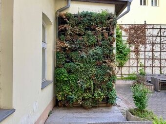 Živá stěna, systém zavěšených truhlíků