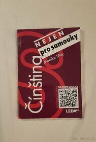 Kniha Čínština nejen pro samouky