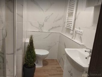 Prodej, byt 2+1, 48 m2, OV, Charvátská Nová Ves, Břeclav