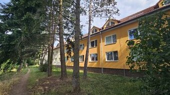 Ihned volná zařízená garsoniéra 26m2 po rekonstrukci, Brno K