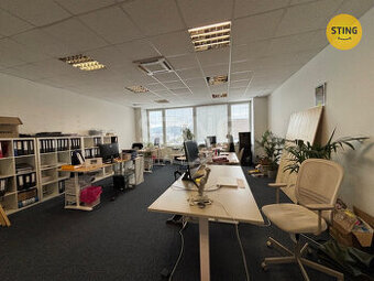 Pronájem komerčního prostoru 54m2 - Sviadnov, 133944