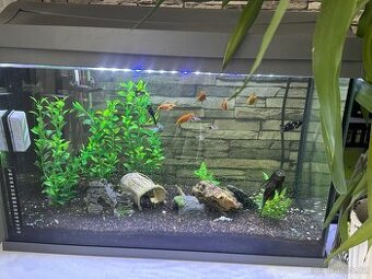 Akvárium Tetra 60l