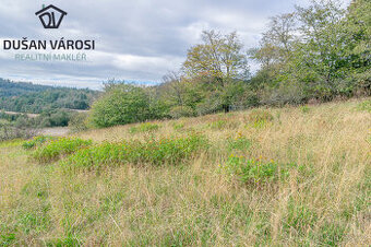 Louka o rozloze 5 743m2 v KÚ Města Albrechtice