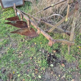 Pluh tříradličný