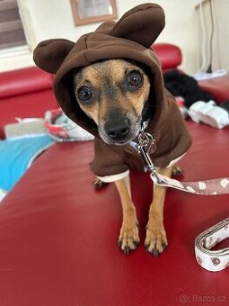 Pražský krysařík bez pp - 1