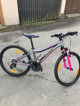 Dětské kolo Author Matrix vel.24