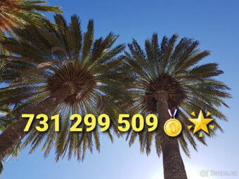 Hezké tři 9 - stříbrné tel cislo