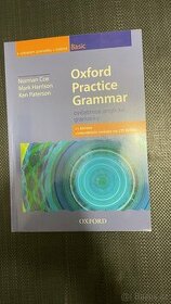 Oxford practice grammar basic