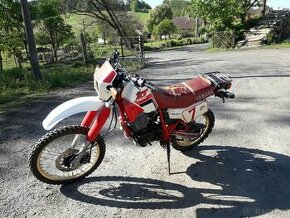 Yamaha XT 600 model 43F