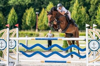 Šikovná klisna do vyššího sportu